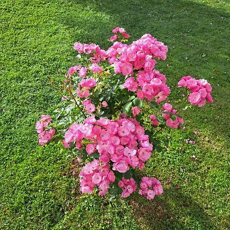 Apartman Morana Slunj Buitenkant foto